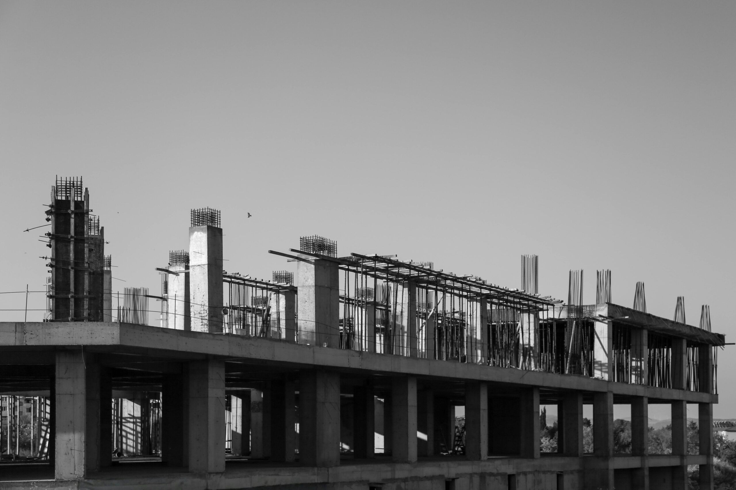 About Free stock photo of bird, bird flying, black and white